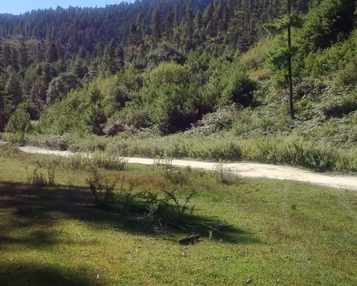 25 acre land for sale in Bumthang