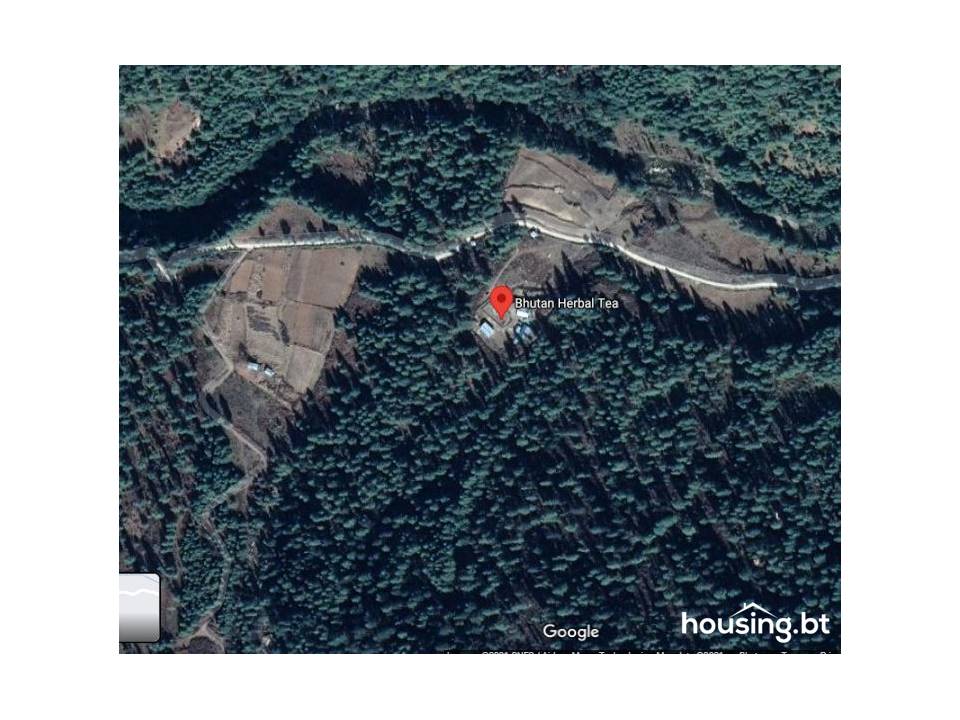housing.bt land for sale Bumthang 1