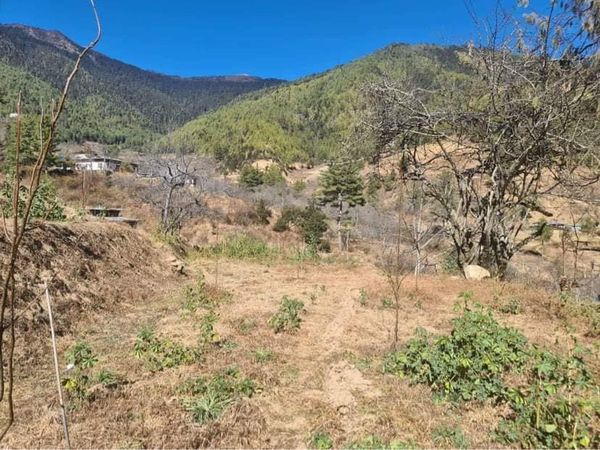 13-Decimal Land For Sale-Thimphu
