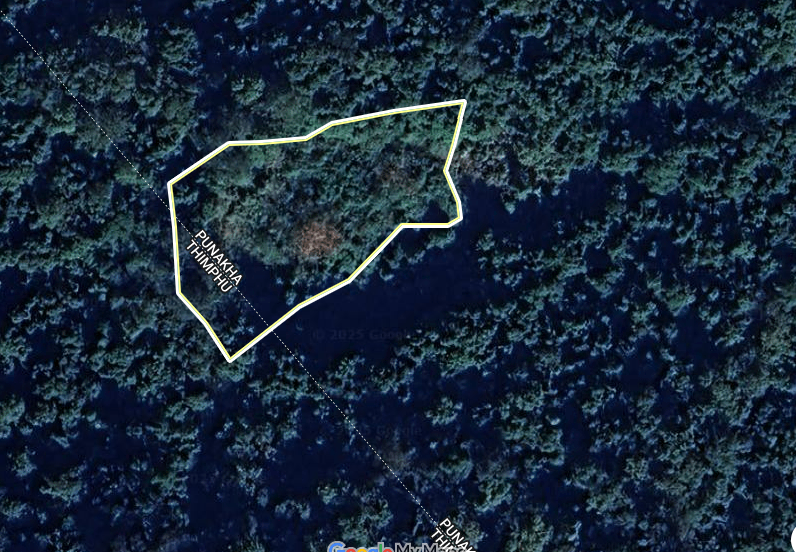Land For Sale at Punakha(Toepisa)